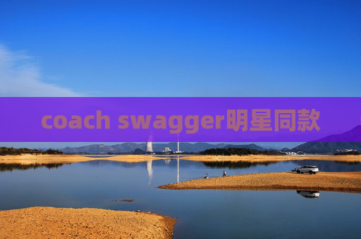 coach swagger明星同款